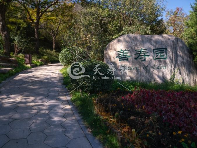 北京九公山长城纪念林有几个墓区，分别怎么样？