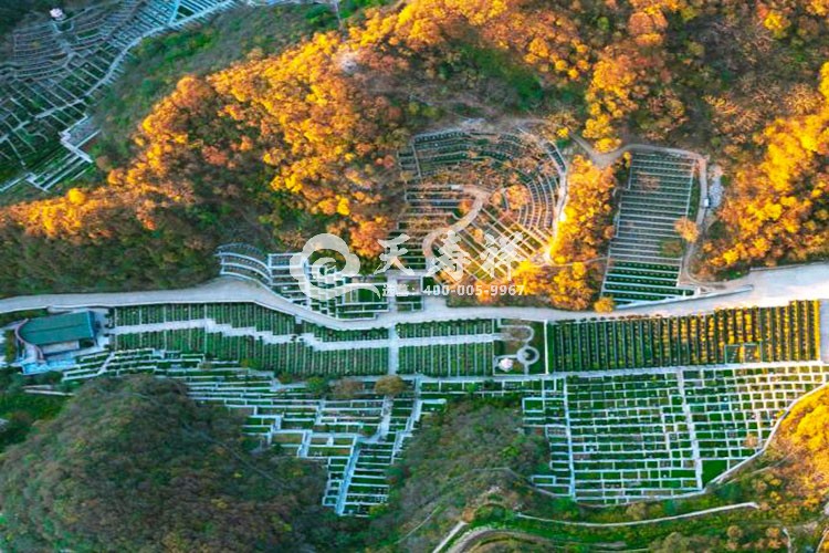 九公山长城纪念林